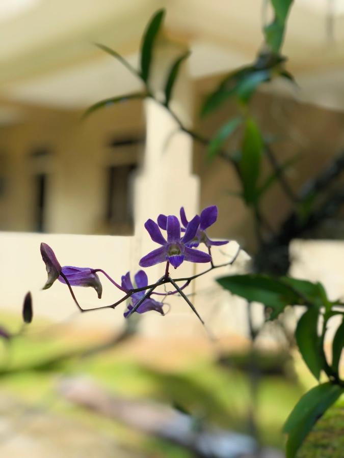 Paradise Garden Beruwala Exterior foto