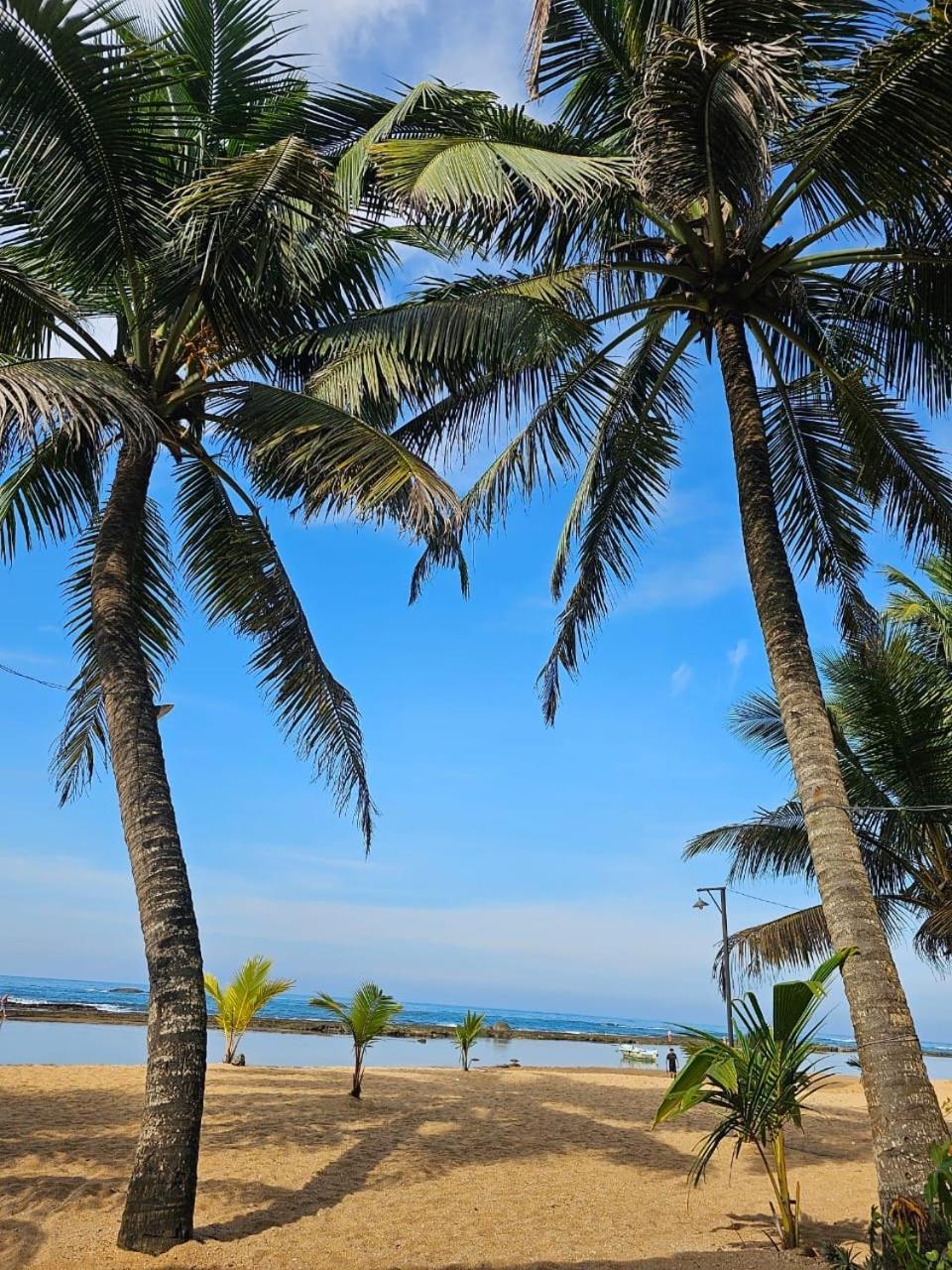 Paradise Garden Beruwala Exterior foto