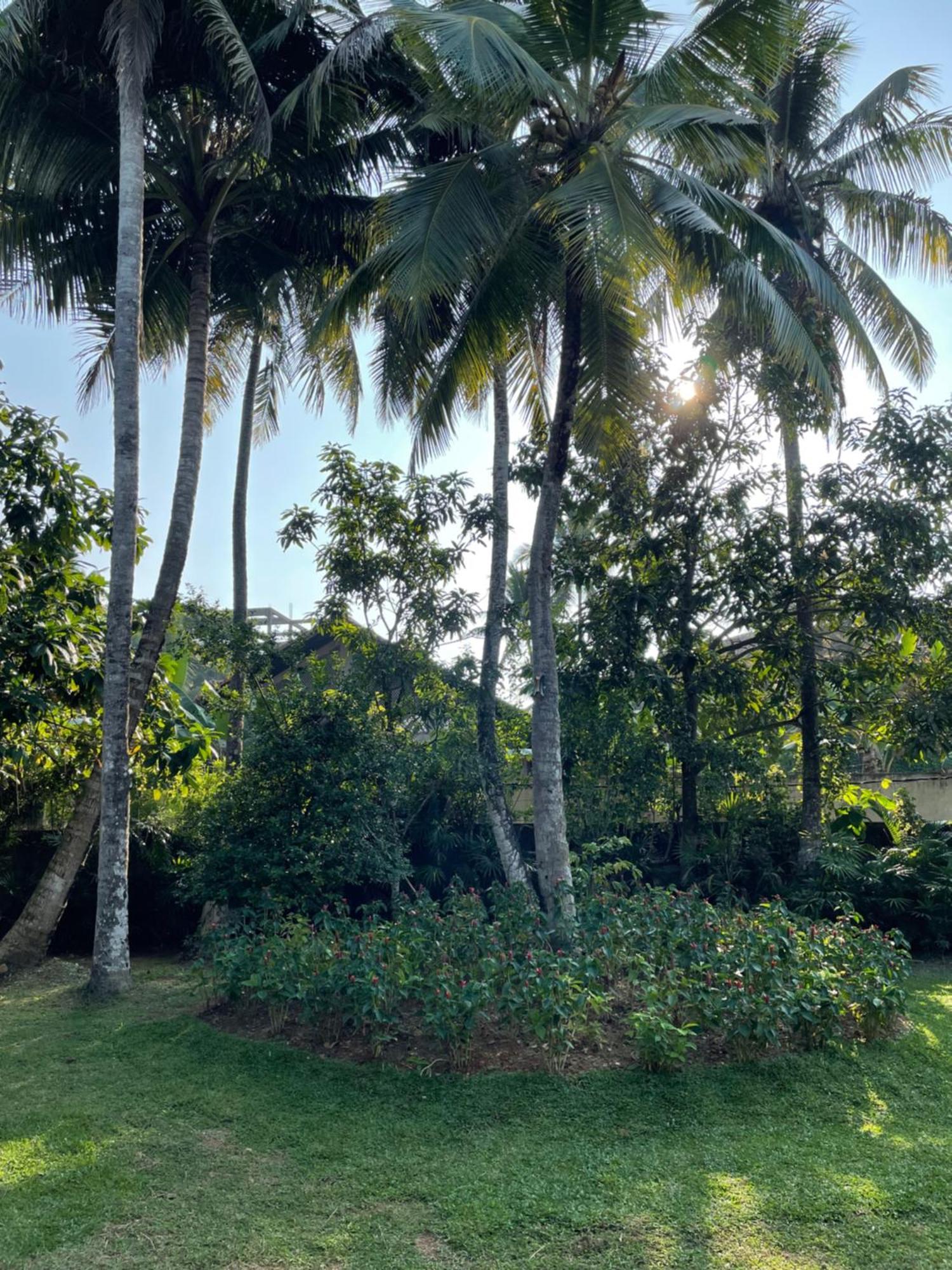 Paradise Garden Beruwala Exterior foto